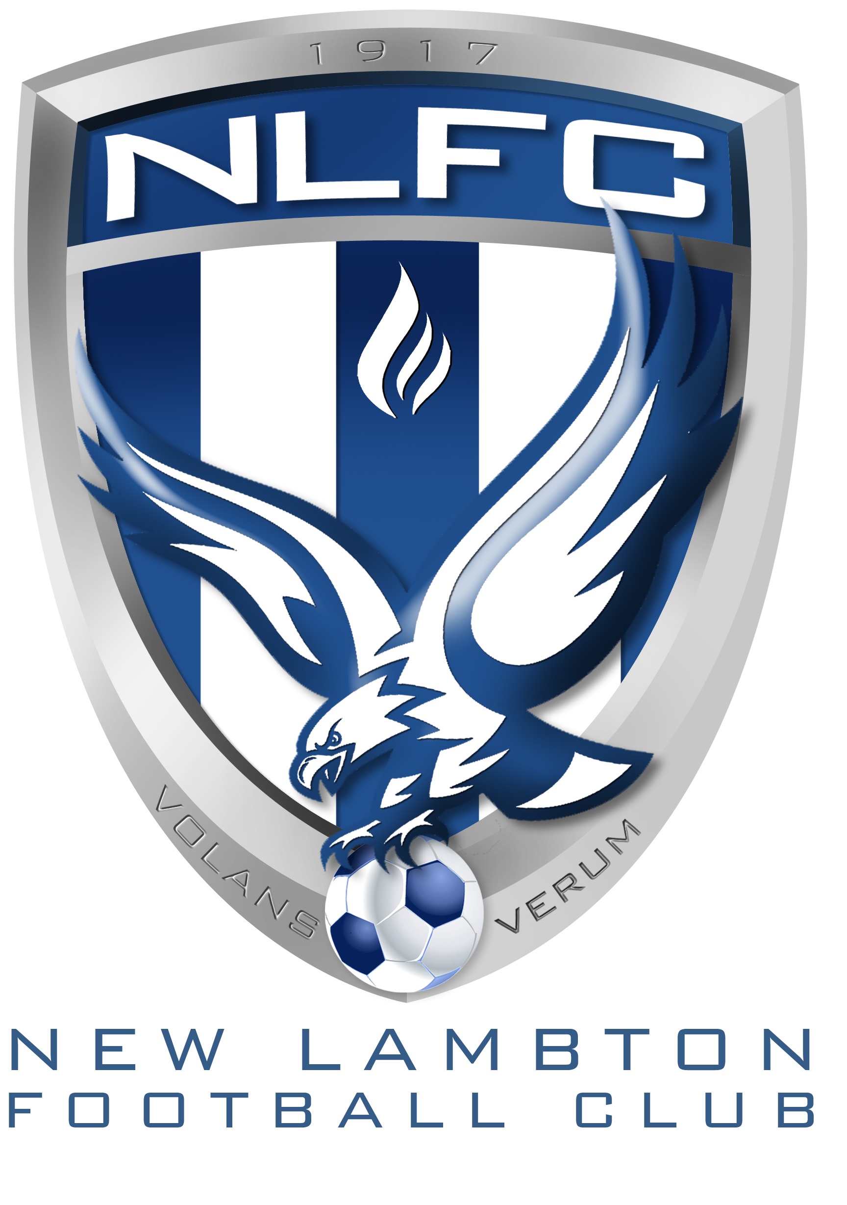 New Lambton FC