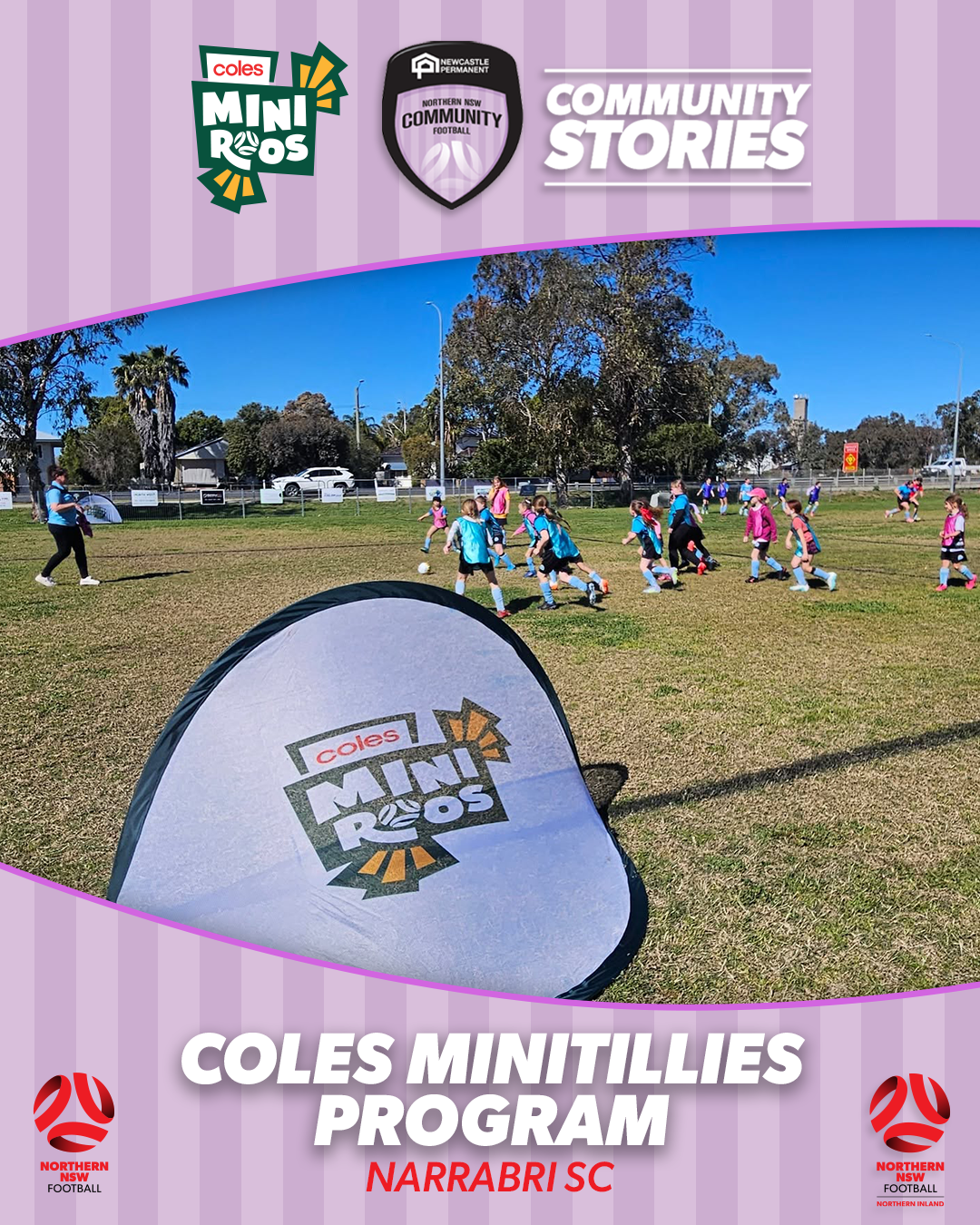 MiniTillies Narrabri