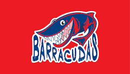 bdc