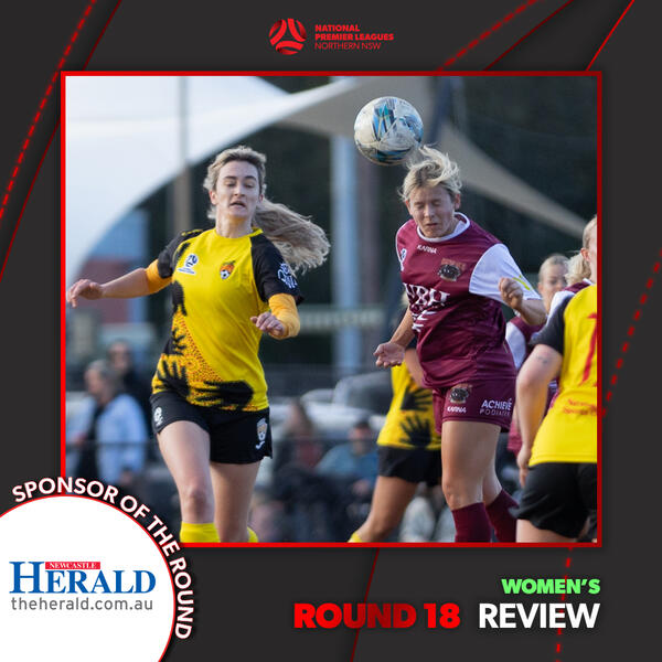 NPLW Review - Round 18