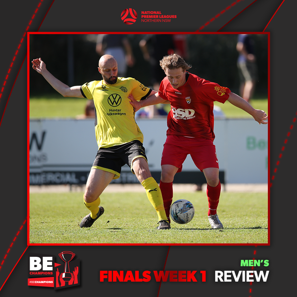 NPLM Review - FWK1