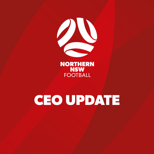 NNSWF Chair gives update on CEO position