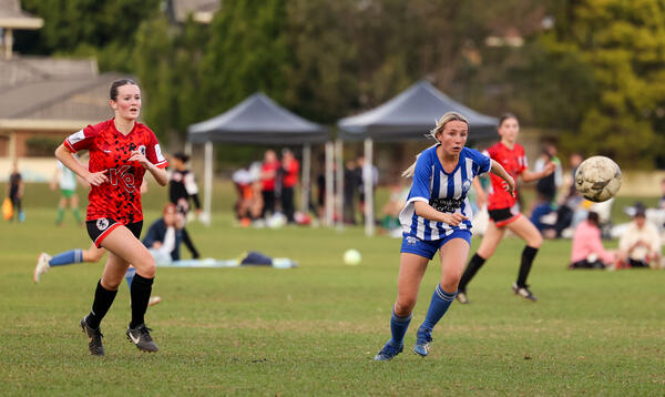 Lionesses v Wildcats