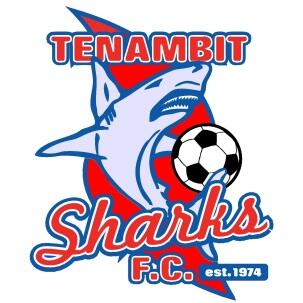 Logo Tenambit Sharks