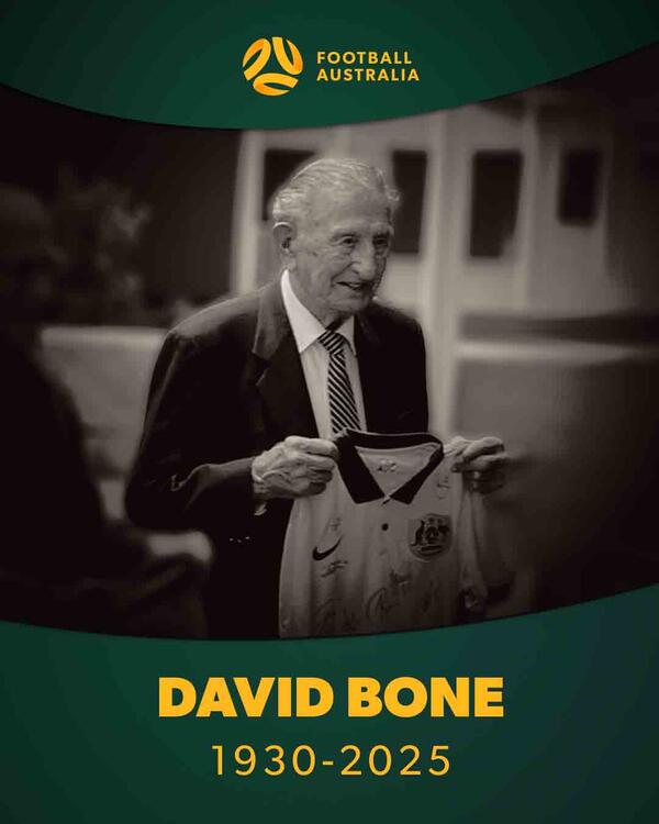 Vale David Bone