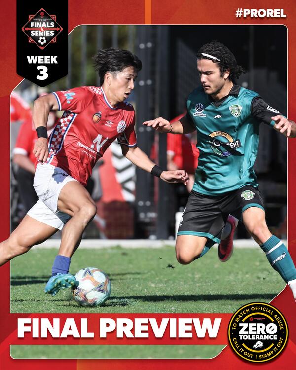 Pro/Rel WK3 Peview